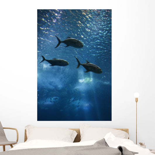 Fish Swimming in Aquarium in Lisbon Spain Wall Mural