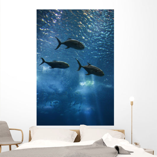 Fish Swimming in Aquarium in Lisbon Spain Wall Mural