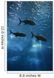 Fish Swimming in Aquarium in Lisbon Spain Wall Mural