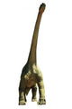 Dinosaur on the White Background Wall Decal