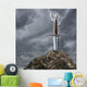Sword Stone Wall Mural
