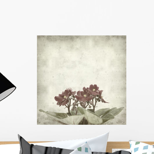 textured old paper background with african violet (saintpaulia) Wall Mural