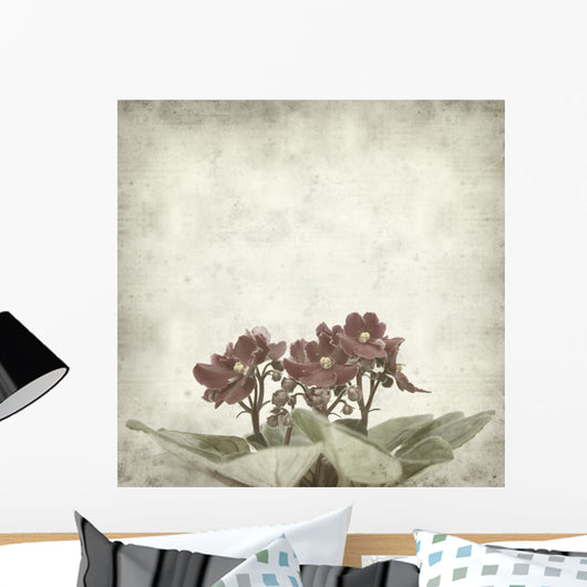 textured old paper background with african violet (saintpaulia) Wall Mural