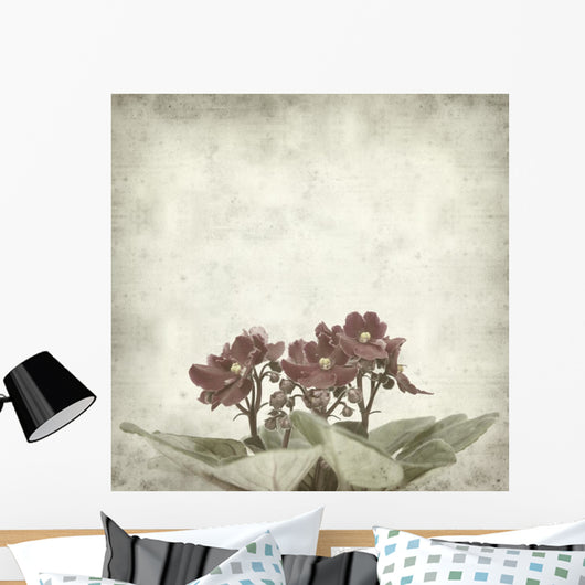 textured old paper background with african violet (saintpaulia) Wall Mural