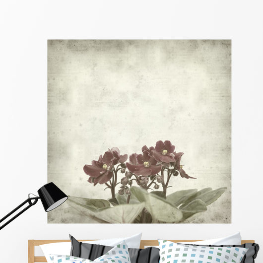 textured old paper background with african violet (saintpaulia) Wall Mural