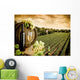 Wine and vineyard in vintage style Wall Mural