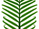 Feuillage Vert Palmier Wall Mural