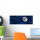 Panoramic Moonscape