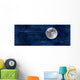 Panoramic Moonscape