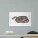 Dilute Anery Stripe Wall Mural