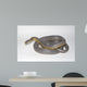 Dilute Anery Stripe Wall Mural