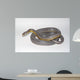 Dilute Anery Stripe Wall Mural
