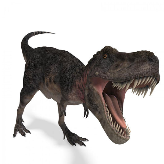 Dinosaur Wall Decal
