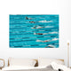 competitive swimming Wall Mural