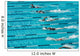 competitive swimming Wall Mural