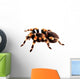 Mexican Red Knee Tarantula Wall Decal