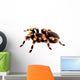 Mexican Red Knee Tarantula Wall Decal
