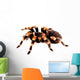 Mexican Red Knee Tarantula Wall Decal
