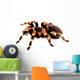 Mexican Red Knee Tarantula Wall Decal