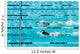 Competitive Swimming Wall Mural