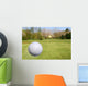 Flying Golf Ball Wall Mural