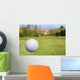 Flying Golf Ball Wall Mural
