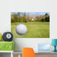 Flying Golf Ball Wall Mural