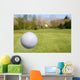 Flying Golf Ball Wall Mural