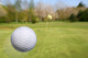 Flying Golf Ball Wall Mural