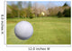 Flying Golf Ball Wall Mural
