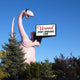 Pink Dinosaur Holding Sign