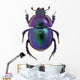 Purple Scarab Beetle Wall Decal