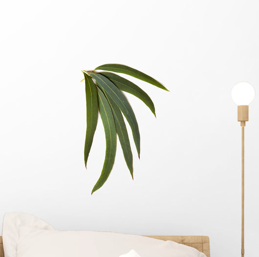 Gum Leaves Wall Decal