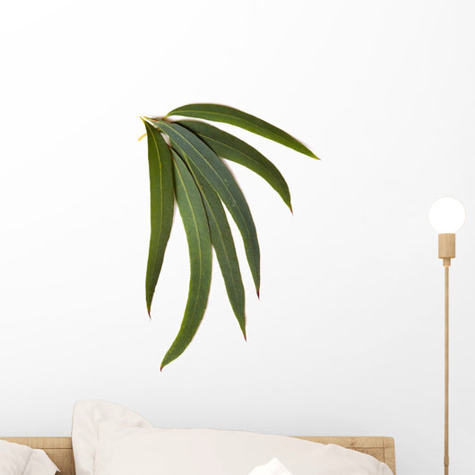 Gum Leaves Wall Decal
