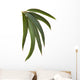 Gum Leaves Wall Decal