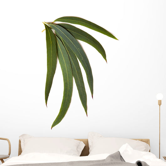 Gum Leaves Wall Decal
