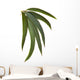 Gum Leaves Wall Decal