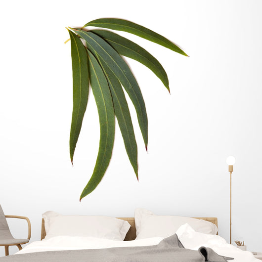 Gum Leaves Wall Decal