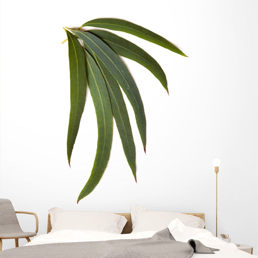 Gum Leaves Wall Decal