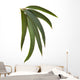 Gum Leaves Wall Decal
