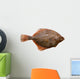 Flounder