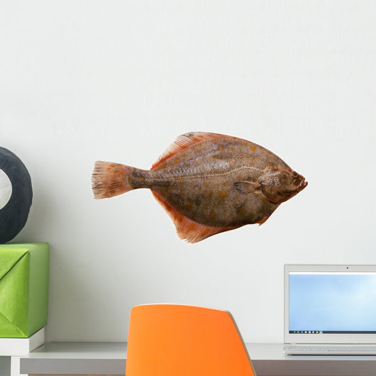 Flounder