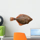 Flounder