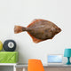 Flounder