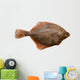 Flounder