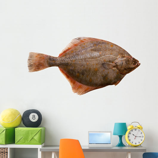 Flounder