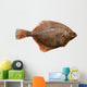 Flounder