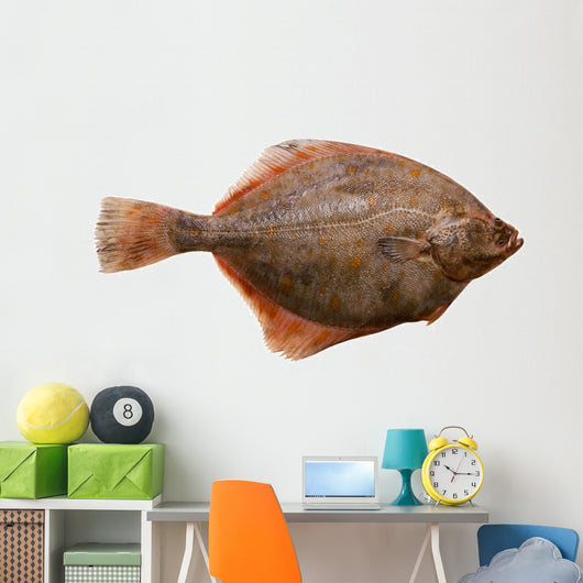 Flounder