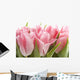 Pink Tulips