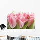 Pink Tulips